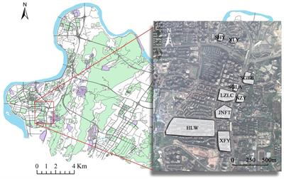 The influence path of community green exposure index on activity behavior under multi-dimensional spatial perception
